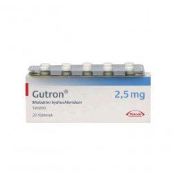 Гутрон таблетки 2,5 мг. №20 в Набережных челнах и области фото